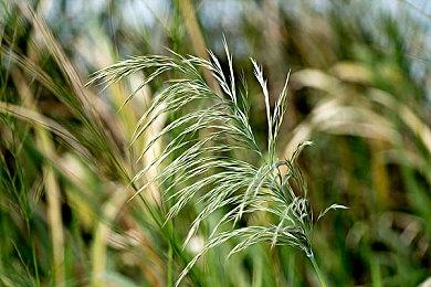 《逆转检察官1&2 御剑精选集》试玩版发布 存档可继承